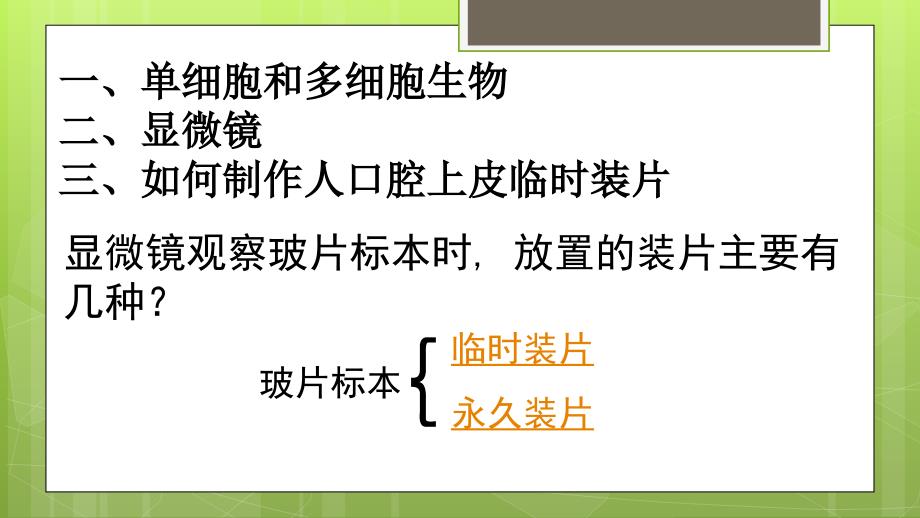 3.1细胞的基本结构和功能第3课时 课件北师大版七年级上册生物_第3页