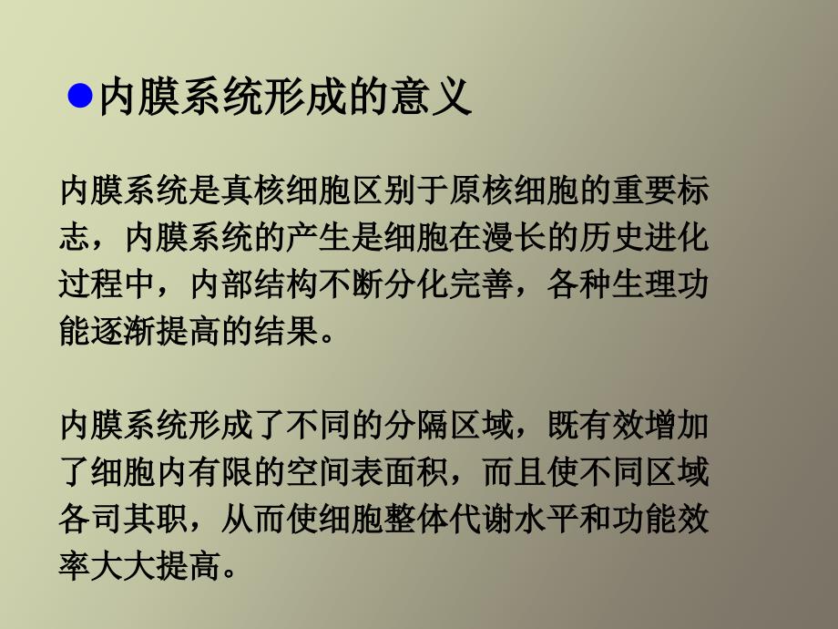 大学医学细胞生物学内膜系统上_第2页