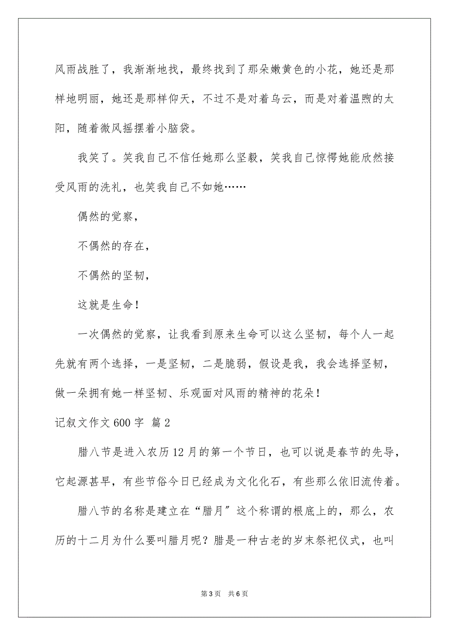 2023年记叙文作文600字范文.docx_第3页