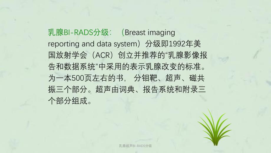 乳腺超声BI-RADS分级课件_第2页