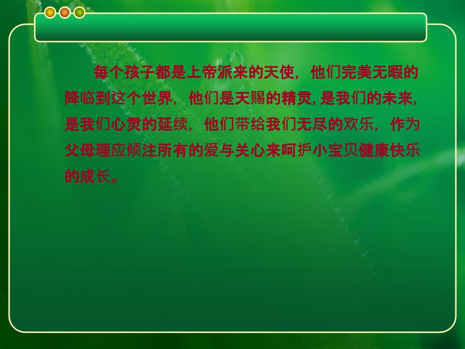 少儿小翰林成长计划_第2页