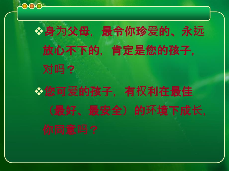 少儿小翰林成长计划_第3页