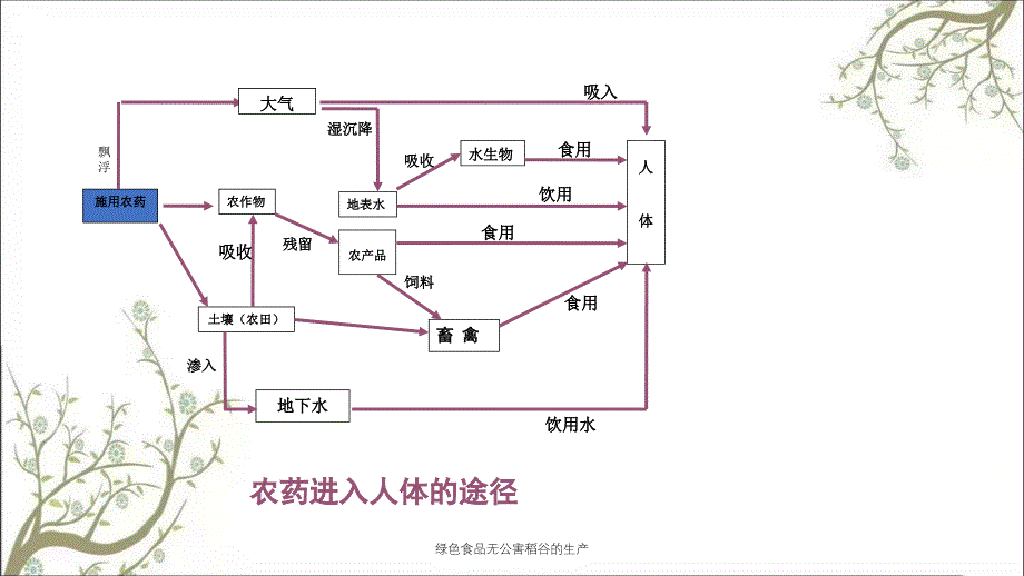 绿色食品无公害稻谷的生产课件_第4页