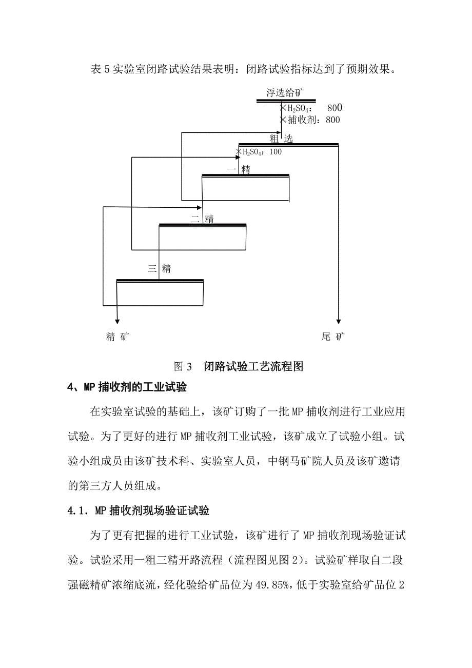 某铁矿应用新型MP捕收剂实验室及工业试验研究.doc_第5页