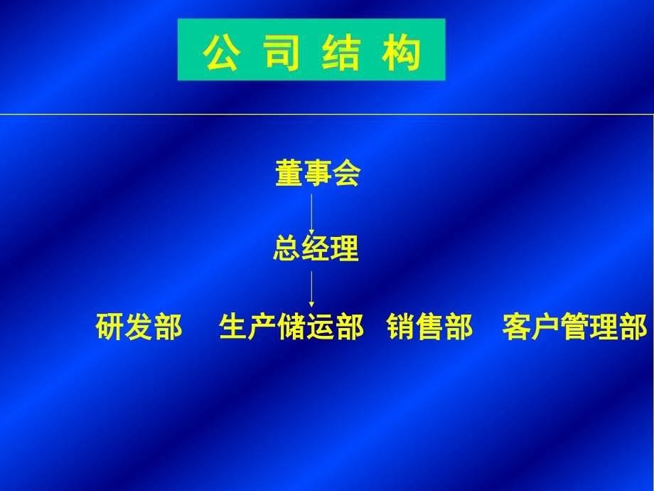 北京参美化妆品有限公司销售计划_第5页