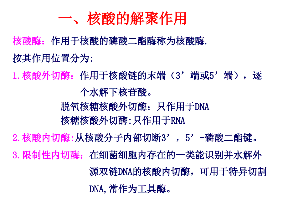 核酸的降解和核苷酸代谢_第4页