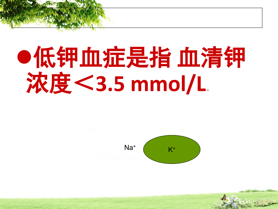 血钾异常病人的护理.ppt_第3页