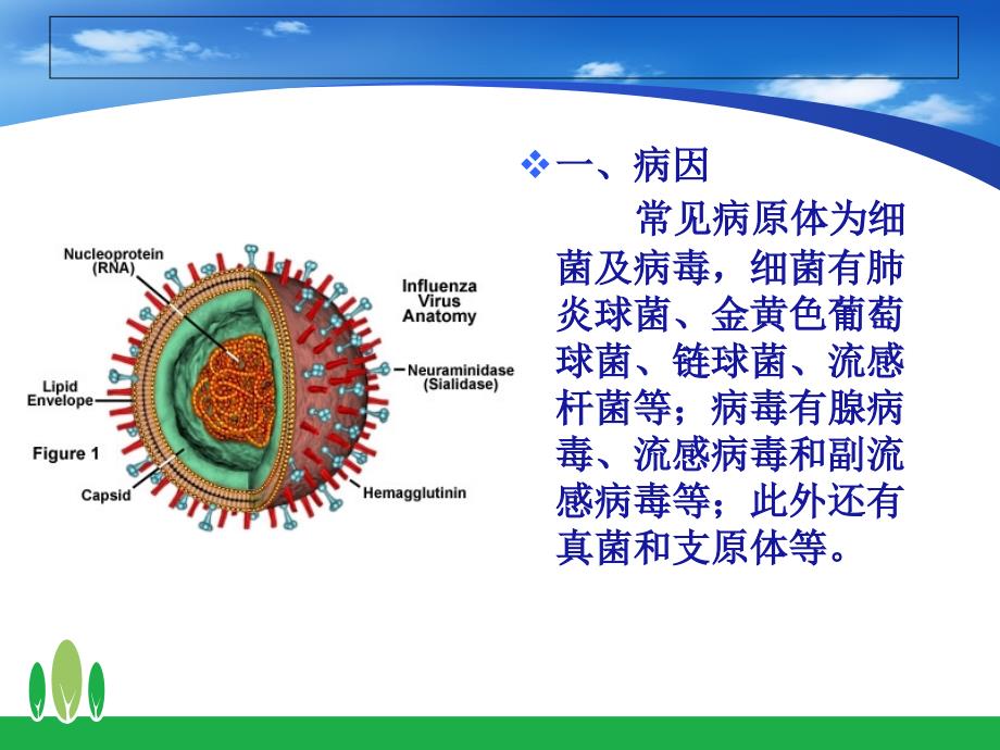 小儿肺炎的护理课件_第3页