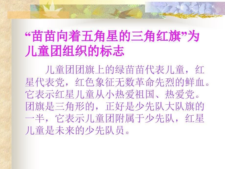 儿童团组织的性质任务儿童团是小学低年级68岁全_第5页