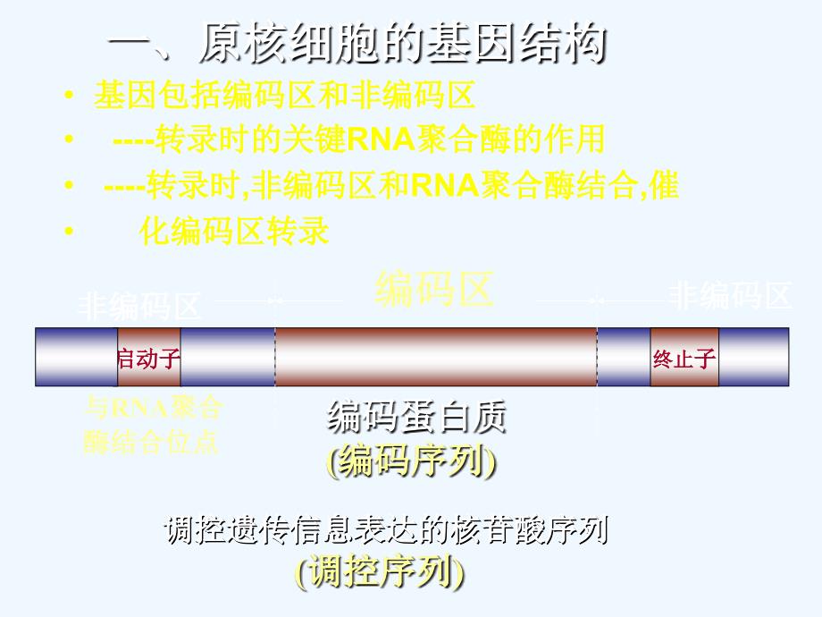 基因工程的基本操作程序ppt课件_第2页