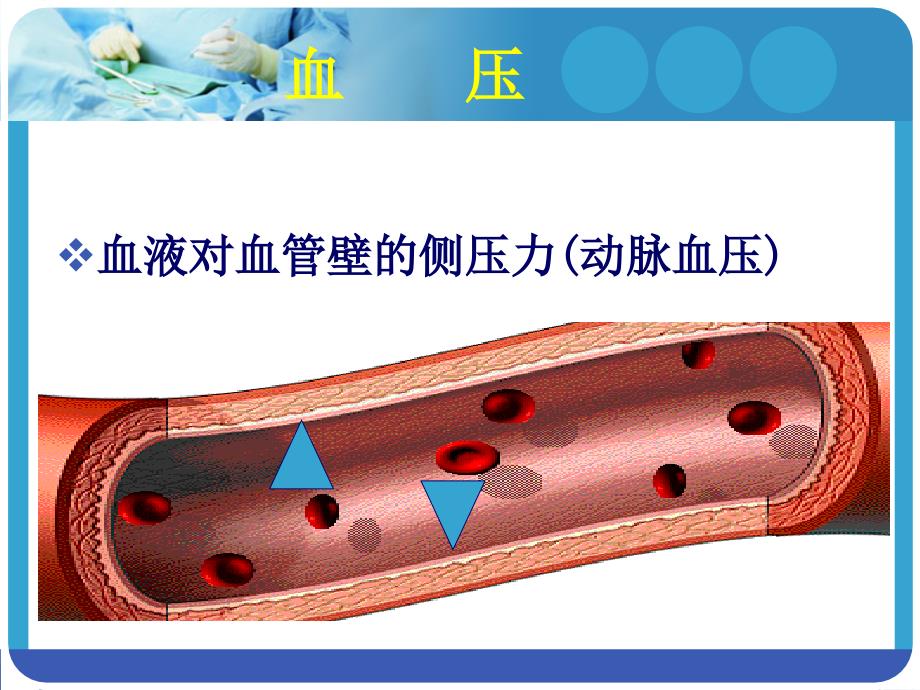 社区高血压健康教育_第4页