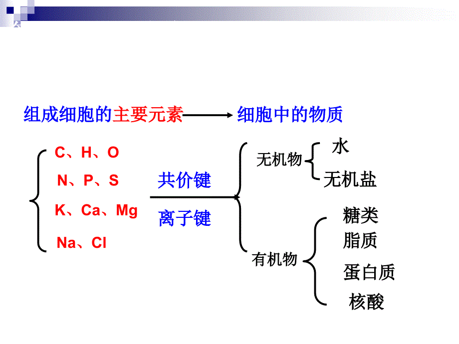 生物11.3有机化合物及生物大分子蛋白质和脂质课件浙科版必修1_第2页