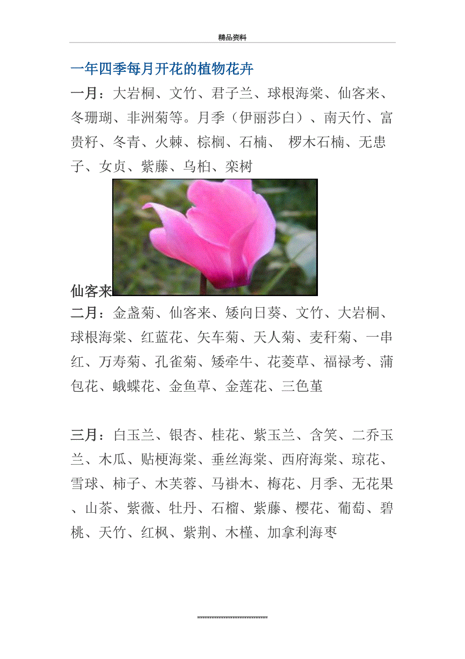 最新一年四季每月开花的植物花卉_第2页