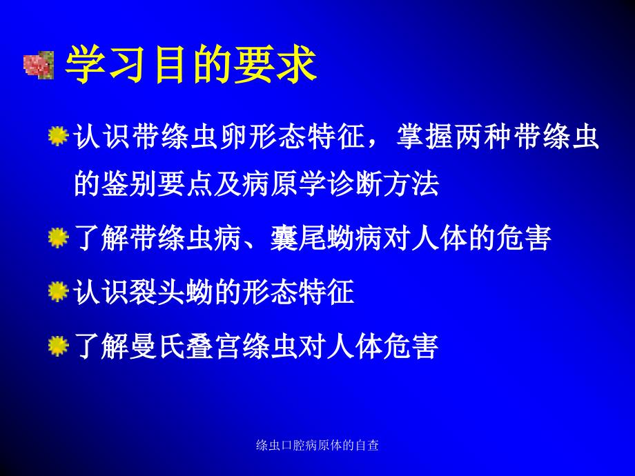 绦虫口腔病原体的自查课件_第2页