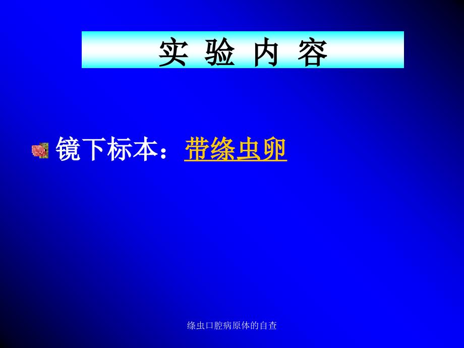 绦虫口腔病原体的自查课件_第3页