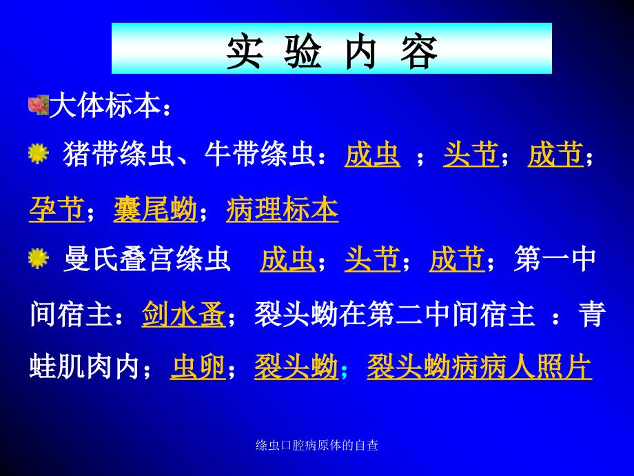 绦虫口腔病原体的自查课件_第4页