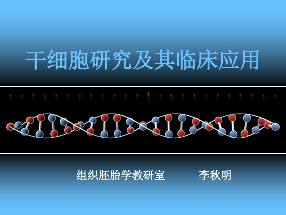 干细胞研究及其临床应用.ppt_第1页