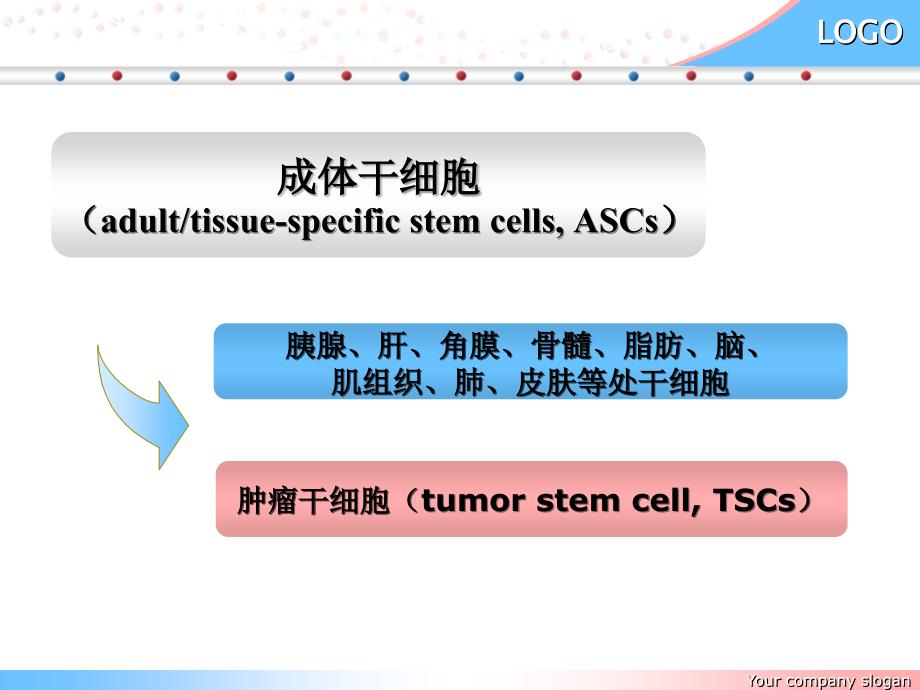 干细胞研究及其临床应用.ppt_第4页