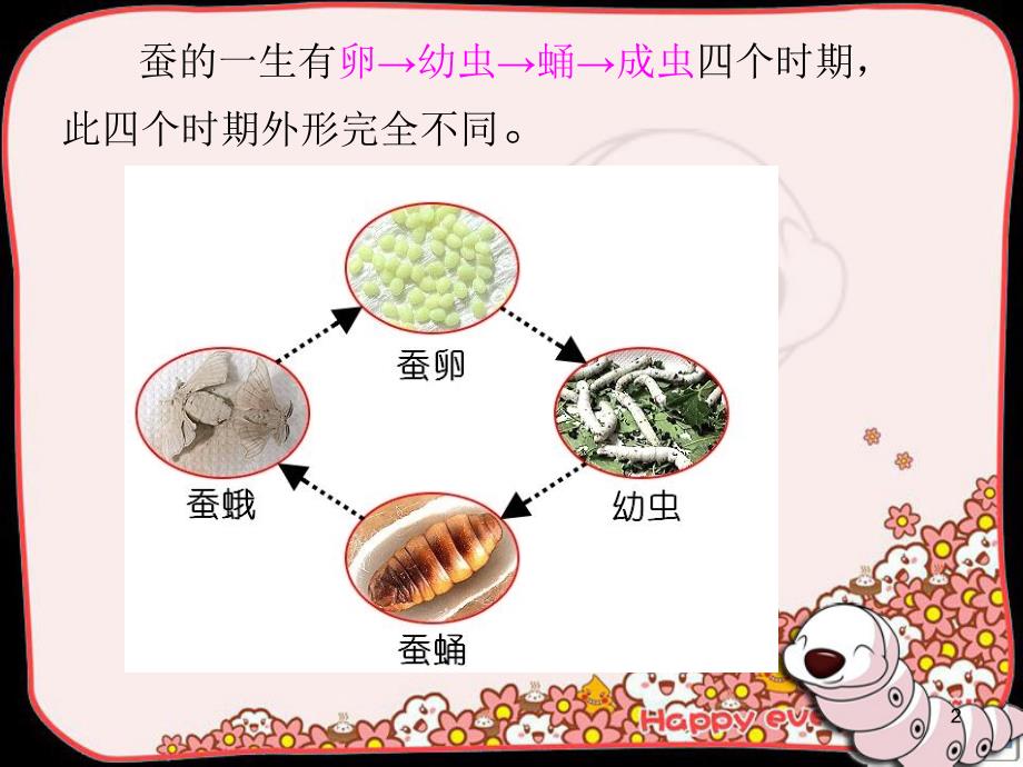 蚕的一生PPT幻灯片课件_第2页