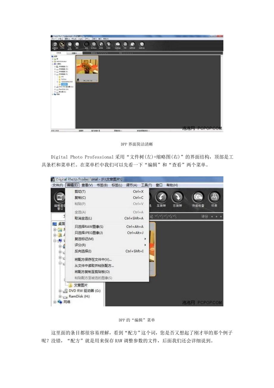 轻松高画质_佳能RAW软件DPP应用简介.doc_第4页