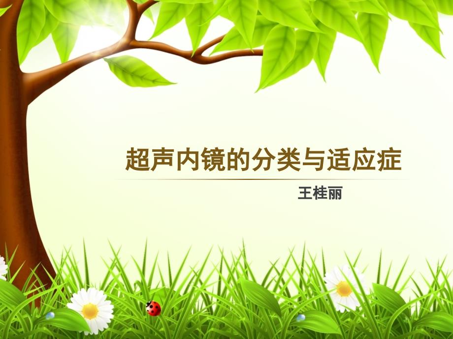 超声内镜的分类与适应症.ppt_第1页