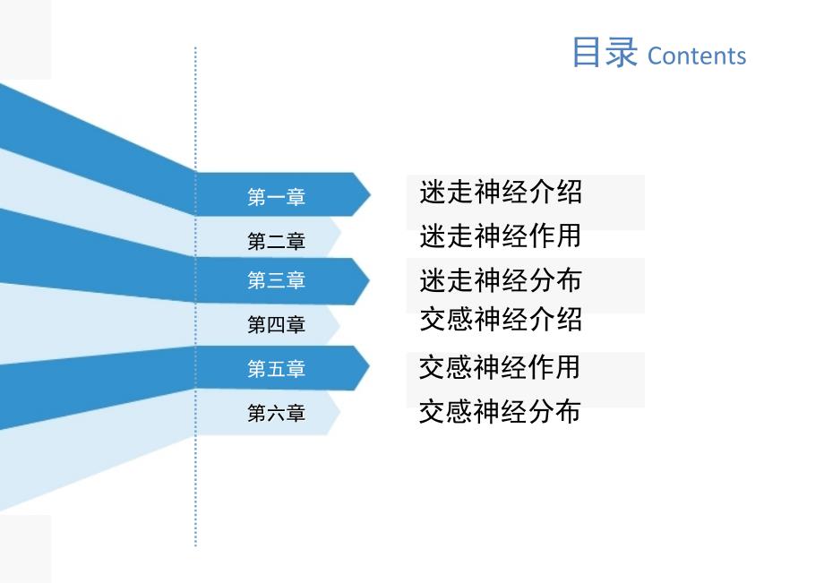 迷走神经与交感神经_第2页