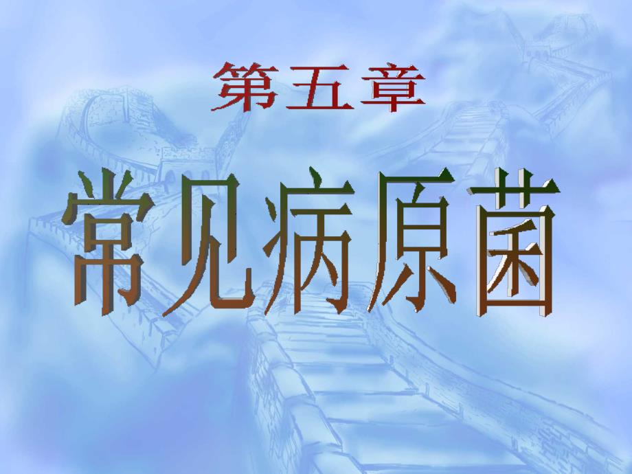 病原生物与免疫学基础第五章常见病原菌第四节厌氧性课件_第1页