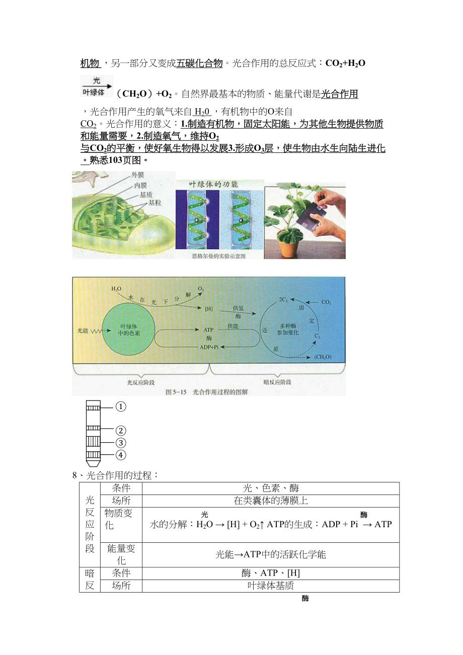 高考生物知识点---光合作用和呼吸作用_第3页