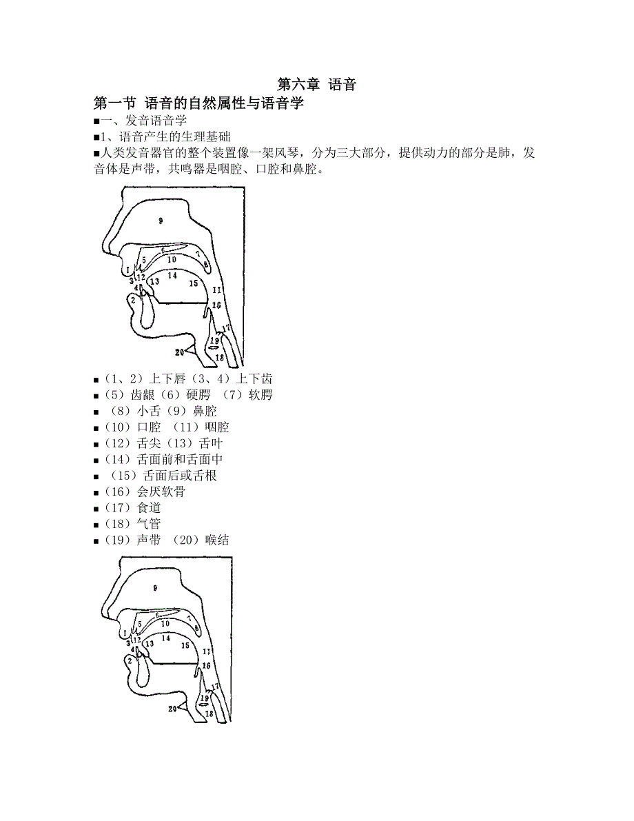 语言学概论 第六章 语音.doc_第1页