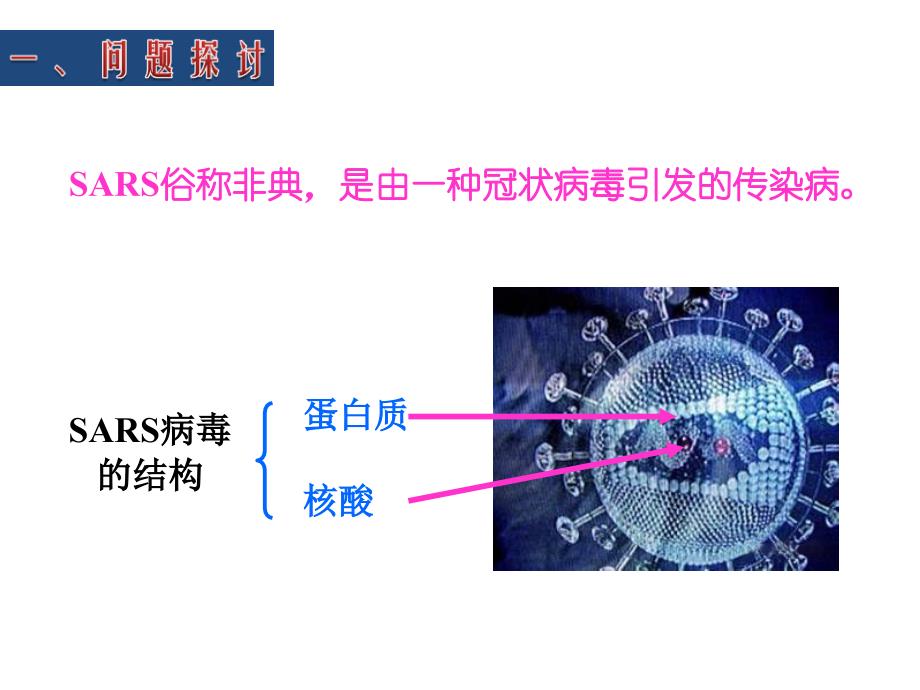 培训资料从生物圈到细胞_第3页