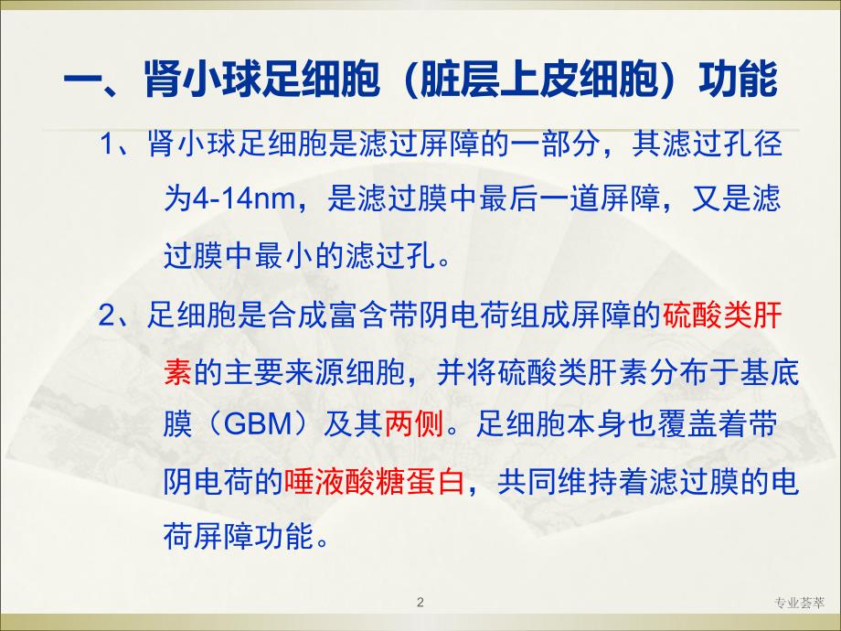 足细胞病发病机制优质荟萃_第2页