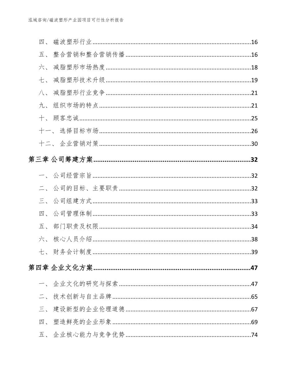 磁波塑形产业园项目可行性分析报告（参考范文）_第4页