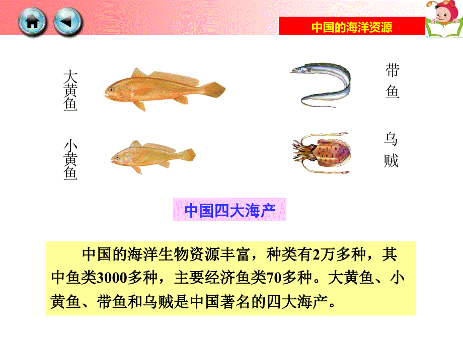 第四节中国的海洋资源_第4页