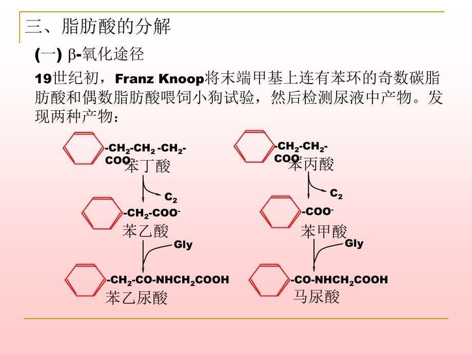 脂类物质代谢PPT课件_第5页