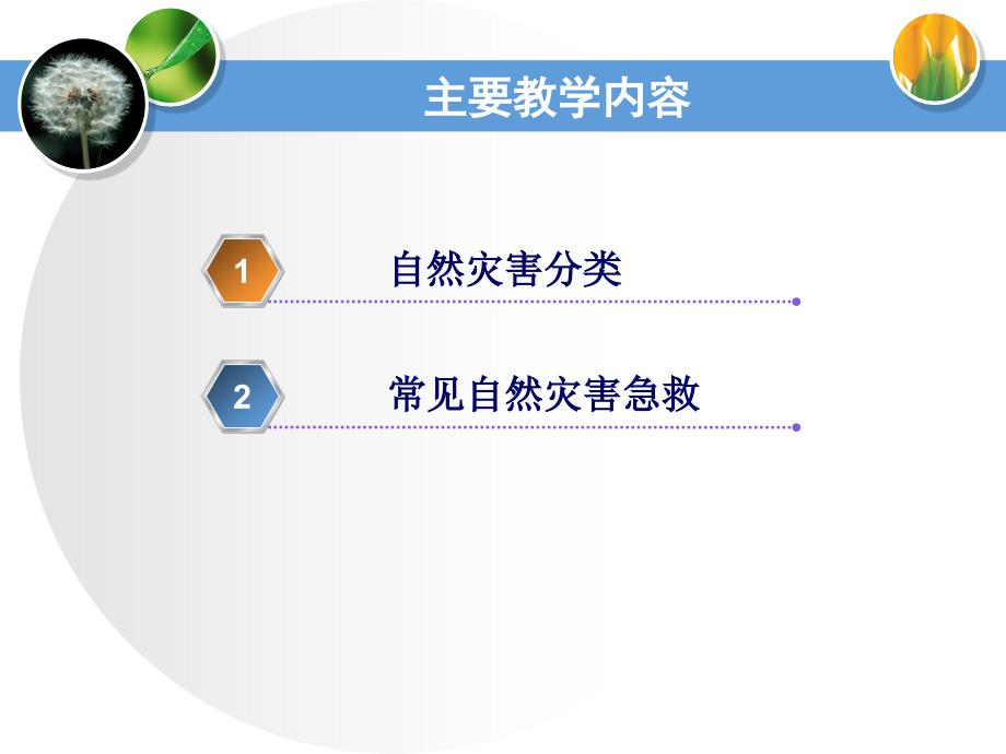 自然灾害 事故急救_第3页