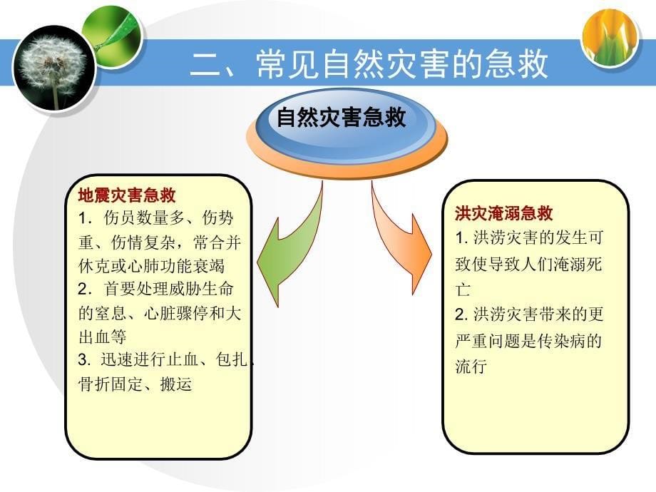 自然灾害 事故急救_第5页