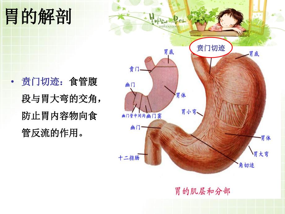 胃十二指肠疾病病人的护理_第4页