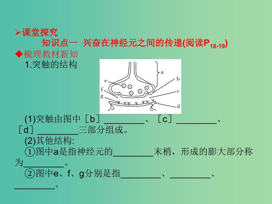 高中生物第二章动物和人体生命活动的调节2.1通过神经系统的调节第2课时课件新人教版.ppt_第4页