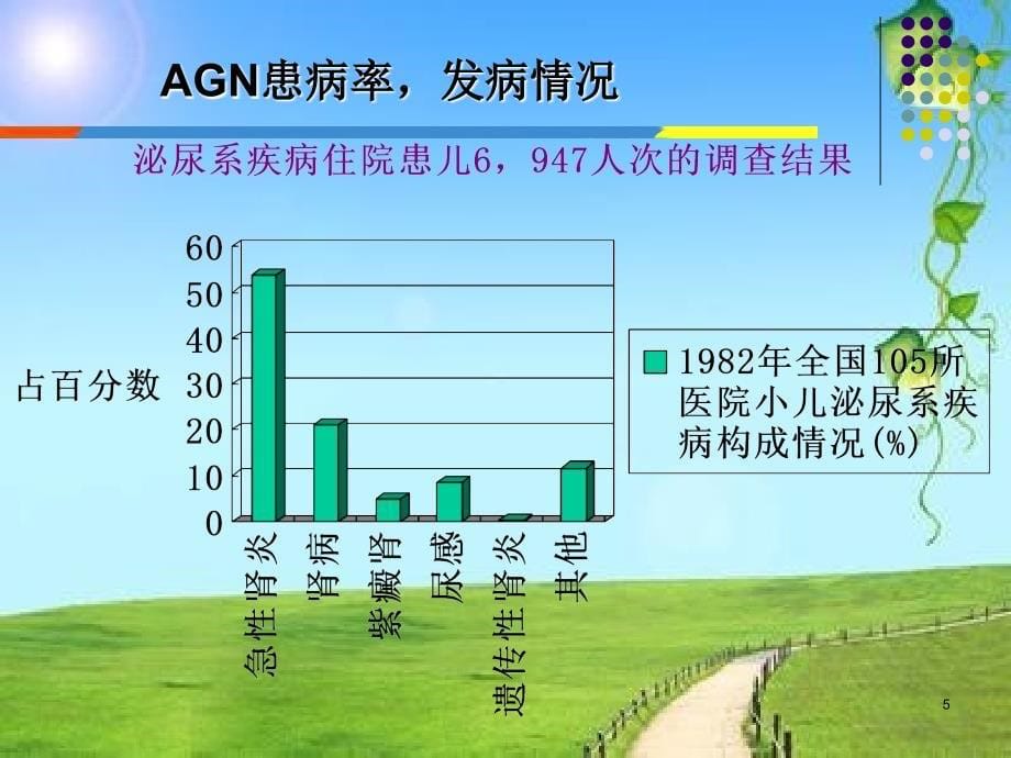 护理查房急性肾小球肾炎患儿的护理ppt课件_第5页