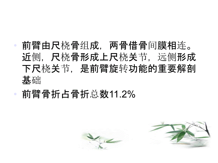 尺桡骨骨折的专题_第2页