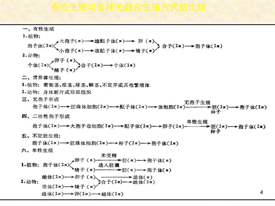 单倍体育种技术ppt课件_第4页