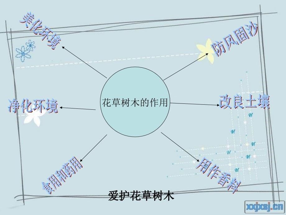 苏教版品生二下天的种植课件2_第5页