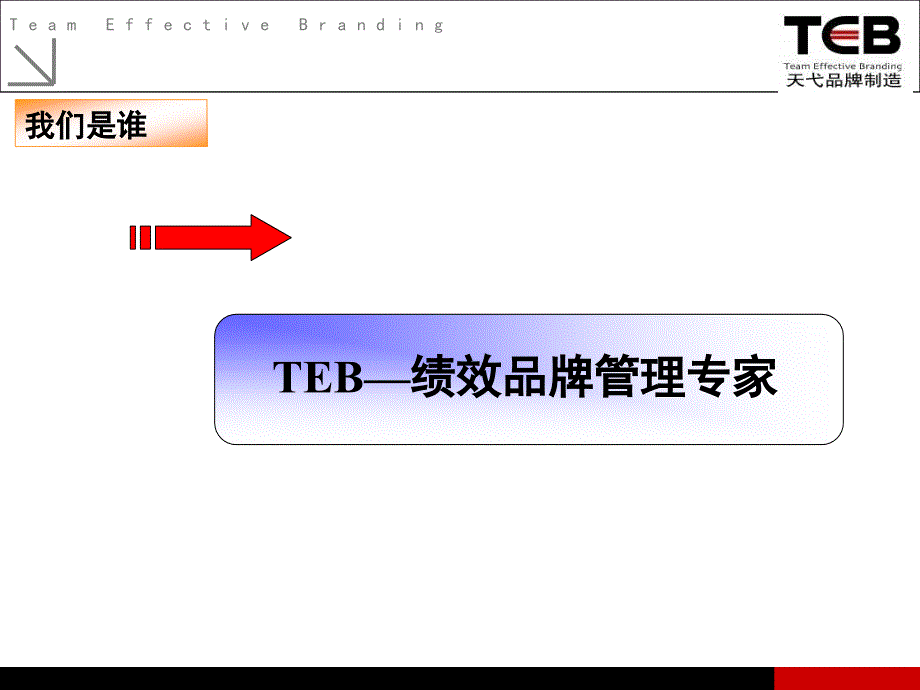 瑞斯乐品牌战略建议书_第2页