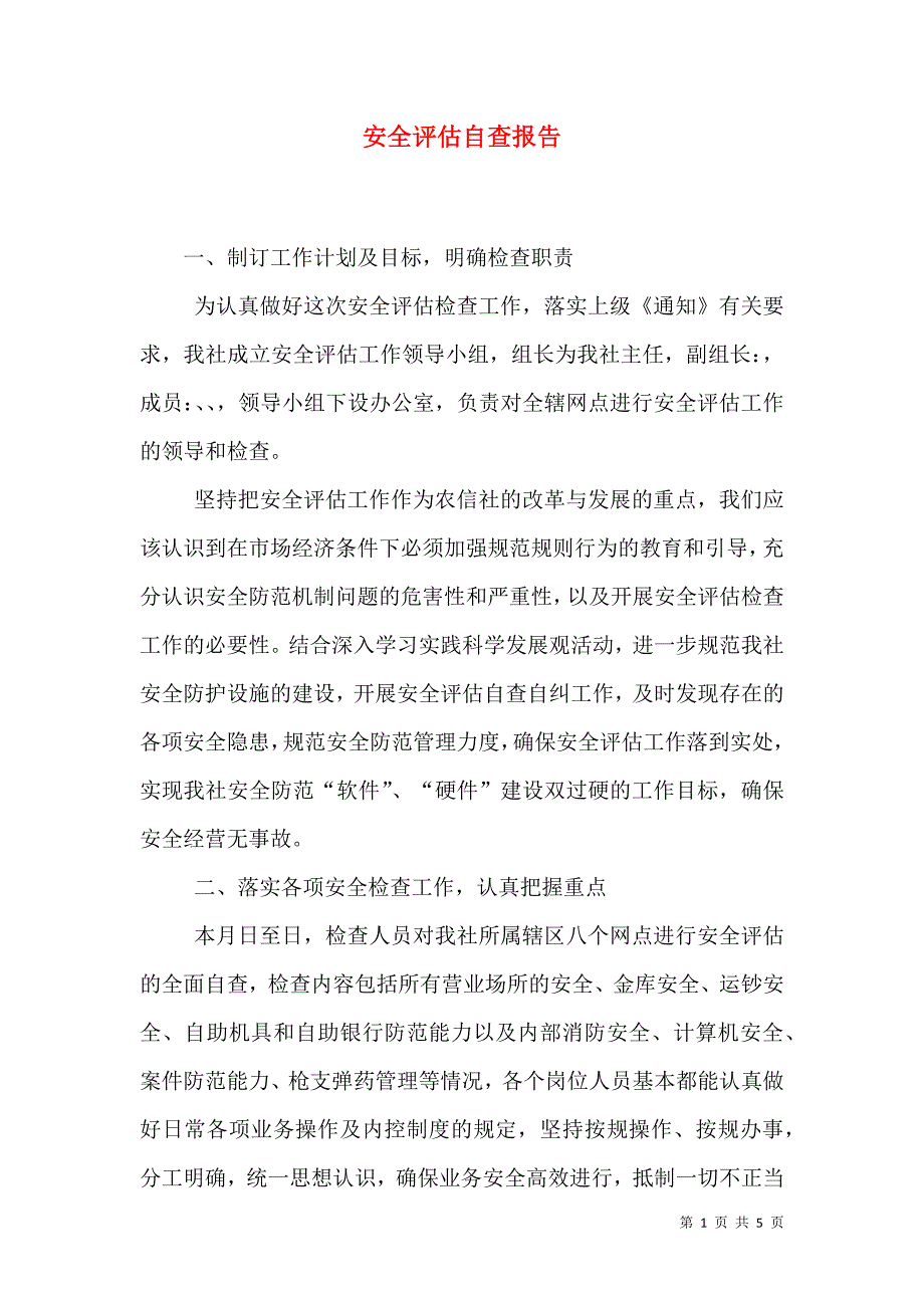 安全评估自查报告_第1页