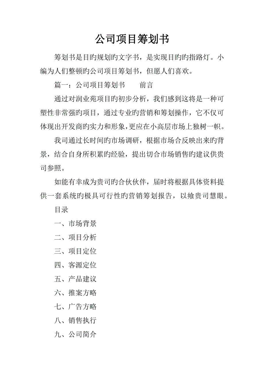 公司项目策划书_第1页