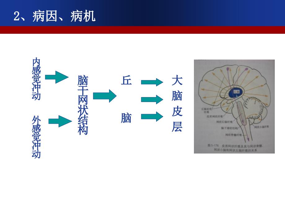 意识障碍健康评估_第4页