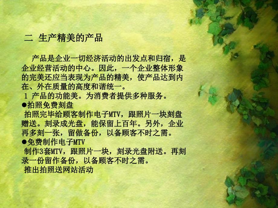 《企业美化方案》PPT课件.ppt_第3页