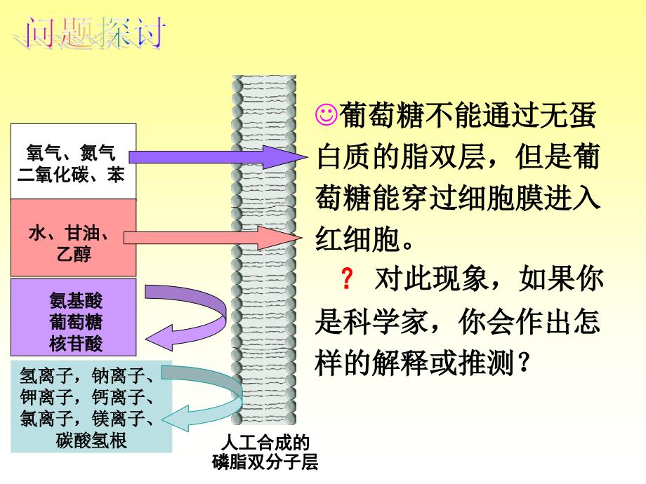 43物质跨膜运输方式_第4页