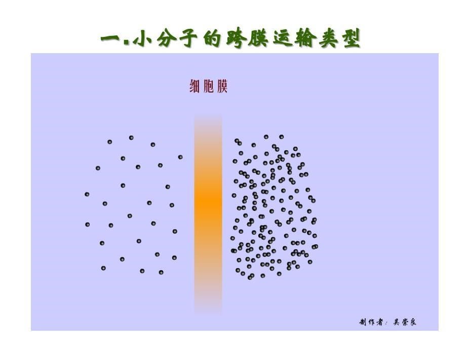 43物质跨膜运输方式_第5页