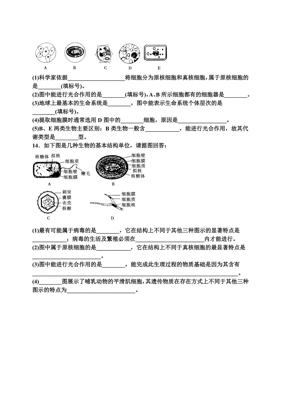 第一章走近细胞随堂作业.docx_第4页